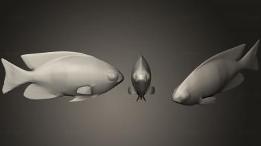 3D model Damselfish (STL)